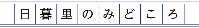 日暮里のみどころ