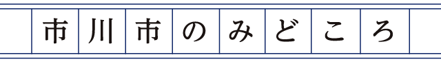 市川市のみどころ