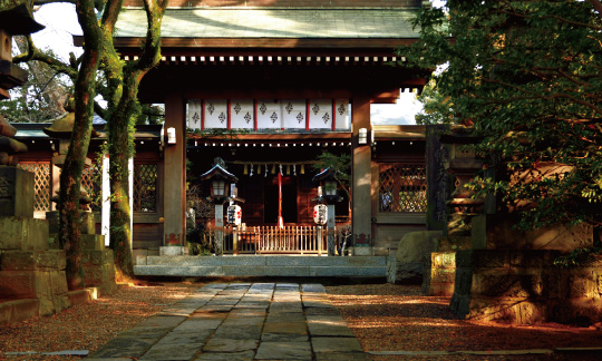 白幡天神社1