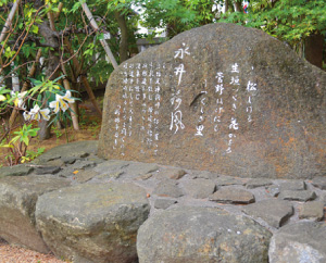 白幡天神社2