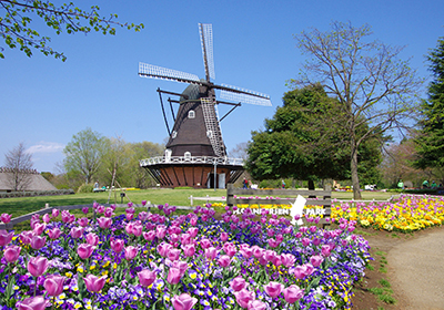 Funabashi H. C. Andersen Park