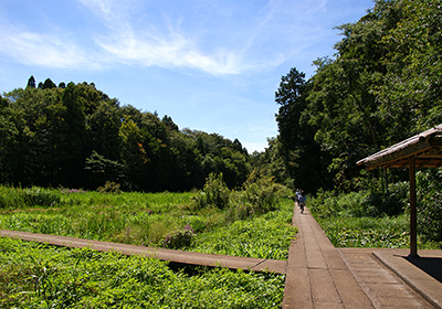 Omachi Park